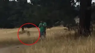 Real Ghost Footage | Real or Fake?