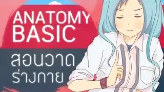 Paint Tool : การวาด Basic Anatomy