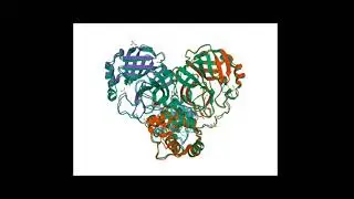 COVID-19 in Molecular Detail - Curriculum Overview