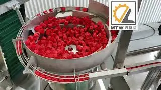 Fully Automatic 500ml Soap Filling  Capping Machine Follow-up System for Chemical & Oil Industries