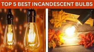 Top 5 Best Incandescent Bulbs | Classic Lighting for Warm & Cozy Spaces