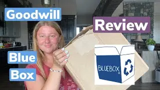 Goodwill Apparel Blue Box | Review | Was it worth it?
