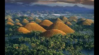 Discover the Wonders of Bohol: A Tropical Paradise