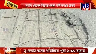 নলবাৰীত পাগলাদিয়া নৈৰ ওপৰত থকা দলঙৰ বিধ্বস্ত ৰূপ