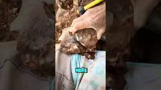 Mount Ida Quartz Crystal Mining #traveling #vanlife #mining