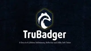 TRUBADGER - Обзор Проекта / Token TRUBGR / Криптовалюта / Crypto / DEFI / SWAP / NFT