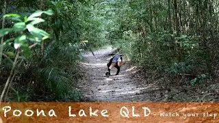 Poona Lake Cooloola Coast - QLD