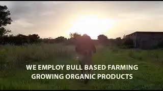 living earth 🌎 Promo