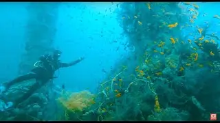 AOWD Advance Open Water Diver Nurkowanie wrakowe w Eilat. Mosad Operacja Cherbourg. Wrak Satil.