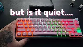 Can You Build a Silent Keyboard from TEMU?