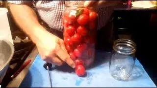 How to Make Delicious Fermented Tomatoes Using Garlic and Fresh Basil!