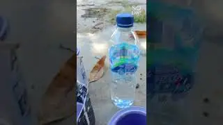 Campur lagi Cat, buat persiapan flamor kapin,buat lepa lepa