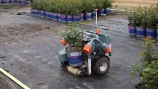 Growing plants with a little help from our robotic friends