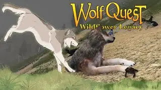 Moving To The First Meadow!🐺❄️Wolf Quest: Wildflower Legacy #12 (Snowberry)