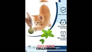 Feathered Catnip Mint Toys (3pc)