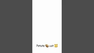 potato 🥔  cat 🐱  art 🎨 #art