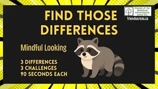 Can You Catch the Changes? Nature Spot-the-Difference + Fun Facts