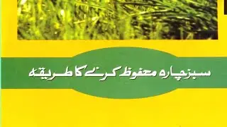 sabaz chara mahfooz karny ka tareka | Preserving green fodder | Zoo Network