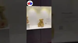 Guinness World Record Teddy Bear Museum #teddybear #teddy #jejuisland #teddyday #korea #koreatravel