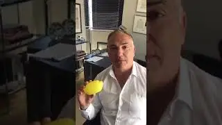 Samuel Seeff Endorses ARK