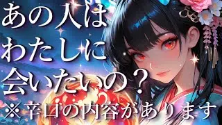⚠️辛口あり⚠️あの人は私に会いたいの？😭占い💖恋愛・片思い・復縁・複雑恋愛・好きな人・疎遠・タロット・オラクルカード