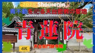 史跡　青蓮院旧仮御所【青蓮院門跡】京都市東山区粟田口◉天台密教の聖地