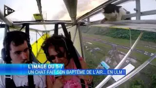 Quand un chat s'invite à un baptême de l'air en ULM