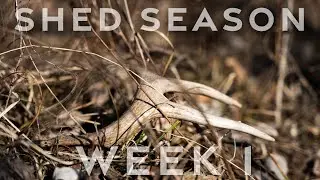 JANUARY SHEDS! // Vlog 1 - Shed Season 26'
