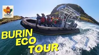 Burin Eco Tour
