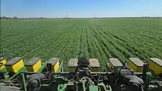 Planting Corn Green.  Regenerative farming practice changes for 2025