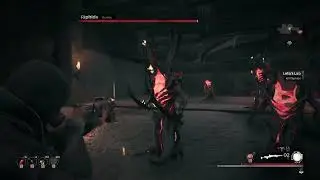 Rip Hide (0 splash/summons, only Ring of the Admirable, Apocalypse) - No Damage | Remnant.