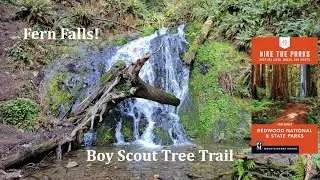 Fern Falls at the end of the Boy Scout Tree Trail in Jedediah Smith Redwoods State Park