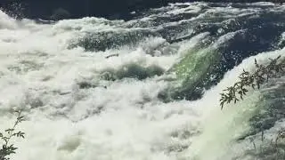 A Rapid Stream Footage
