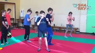 Что такое детский спортивный клуб Sharky?!