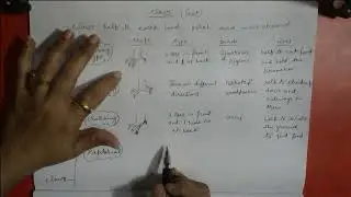 Beaks and Claws - II |Concept Clarity| Science EVMS