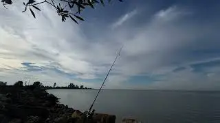 Stripper bass fishing part 3 Hercules ca  #SWRD#HRBS 
