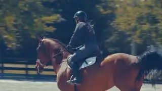 Callan Solem on Steadfast Equine by Arenus Animal Health