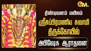 திண்டிவனம் மயிலம் ஸ்ரீசுப்பிரமணிய சுவாமி கோயில் - அபிஷேக ஆராதனை | Thaipusam 2026 | Murugan | OM TV