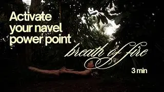 The Navel Power Point
