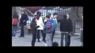 Bal Boboci Bruk 2008