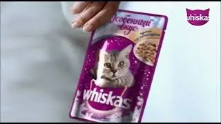 (ИТВ) Возобновление вещания (Whiskas TV, 20.06.2022, 14:00)