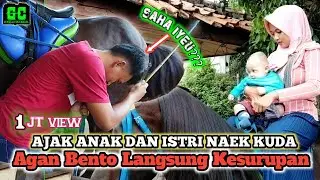 PARAHH!!!! Agan Bento Kesurupan Kuda Renggong