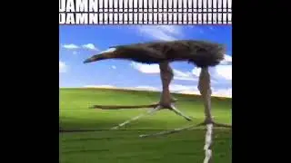 DAMN!!!!!!!!!!!!!!!!!!!!!!!!!!!!!!!!!!!!!!! bird