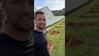 Pro or DIY install? Fence P1