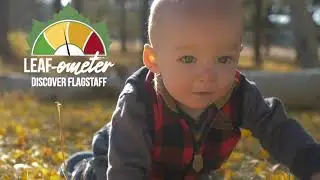 Discover Fall-Friendly Flagstaff 2021 - #LEAFometer