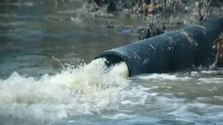 DC Water officials take questions on Potomac sewage spill | NBC4 Washington