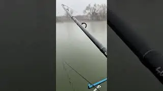 Pescuit iarna 🎣🔥 Crap de decembrie. #fishing #pescuit #reels #foryou #romania
