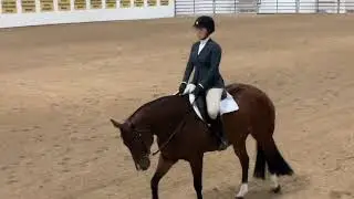 Nutrena Ride the Pattern Clinic: Hunt Seat Equitation