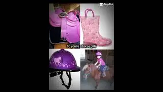 #horse #rodeo #cowgirl #meme #funny #horses#riding#roping#cows #cowboys#horsegirl#pony  #equestrian