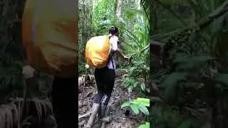 we love travel deep inside of the jungle tribes #shorts #travel #tribes